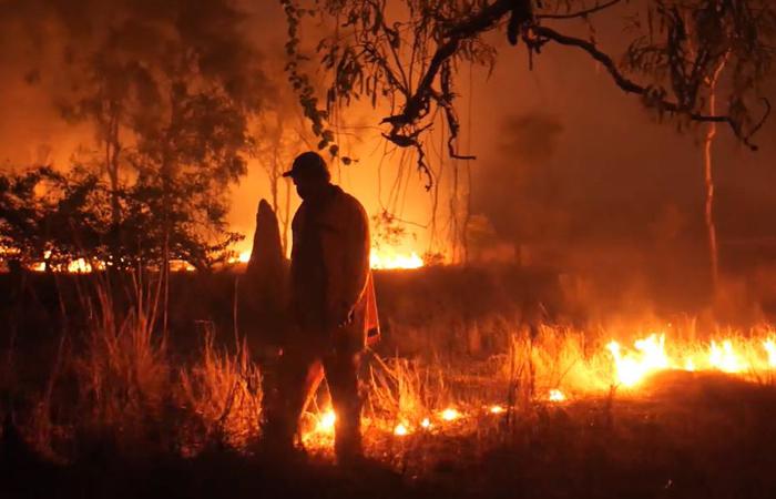 The Culture of Fire Management around the Gulf of Carpentaria